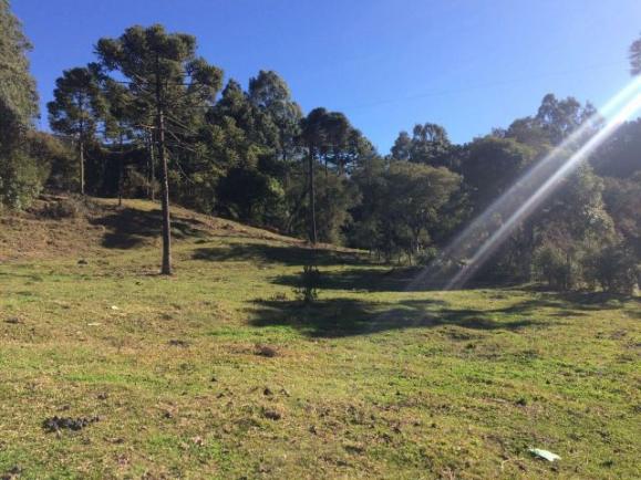 Terreno em Urubici, ideal p/ empreendimento comercial - Foto 7