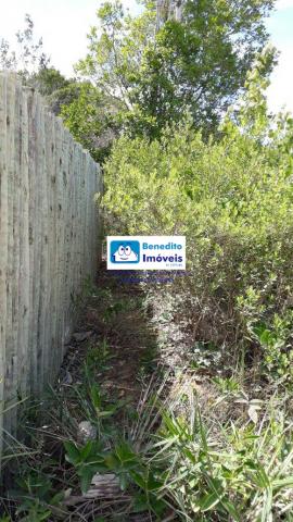 TERRENO PARA VENDA PRÓXIMO A PRAIA DE TAÍPE - Foto 3