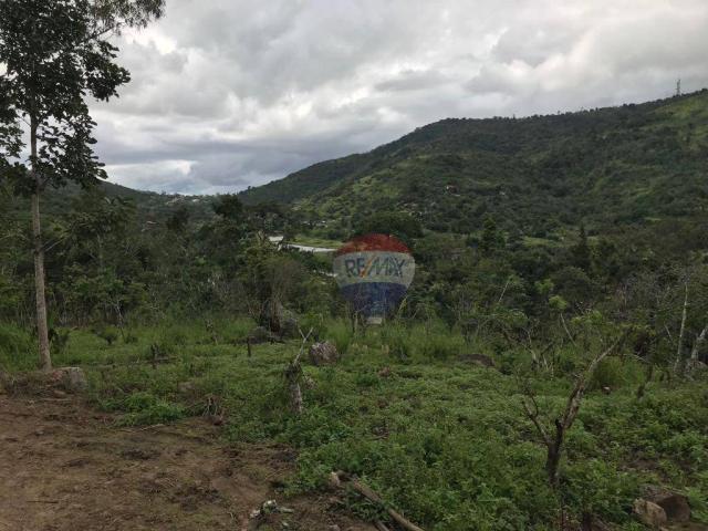 Terreno - Foto 2