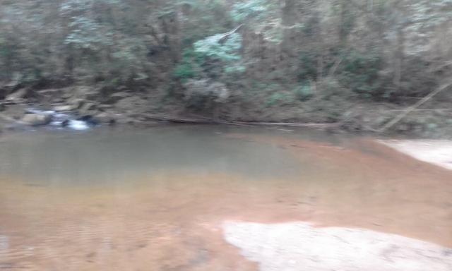 Sitio rico em água com cachoeiras, rios e lagos de piscina naturais, leia anúncio!!! - Foto 16
