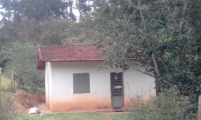 Sitio rico em água com cachoeiras, rios e lagos de piscina naturais, leia anúncio!!! - Foto 3