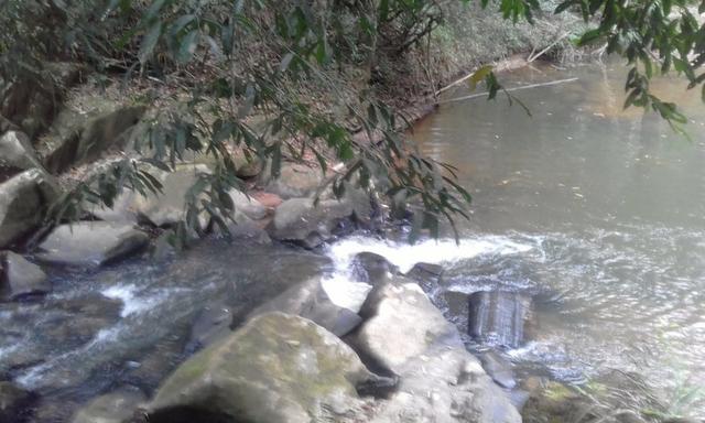 Sitio rico em água com cachoeiras, rios e lagos de piscina naturais, leia anúncio!!! - Foto 20