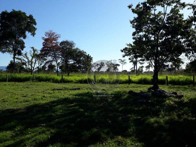 Sítio à venda na região de cáceres/mt - Foto 9