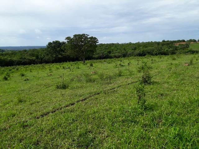 Fazenda c/ 912he, 550he formados, Terra boa, Itiquira-MT - Foto 2