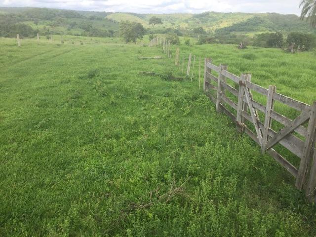 Fazenda c/ 912he, 550he formados, Terra boa, Itiquira-MT - Foto 9