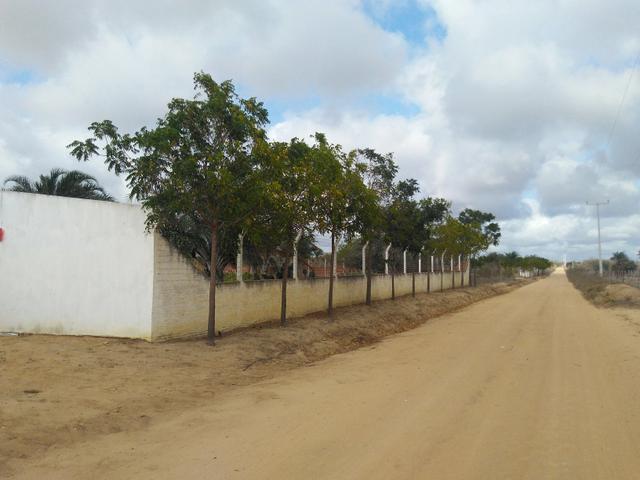 Chácara.sítio .a venda - Foto 12
