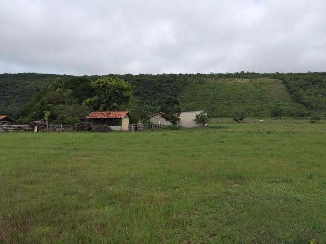 Fazenda c/ 300he, 90% aberto, a 85km de Cuiabá-MT, 40% em imóveis, Sto Antonio Leverger-MT - Foto 10