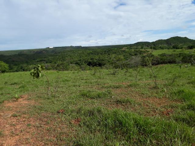 Fazenda c/ 912he, 550he formados, Terra boa, Itiquira-MT - Foto 11