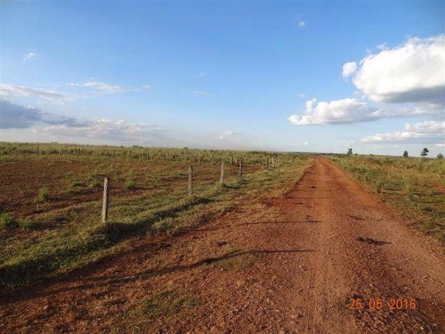 Fazenda c/ 1.700he c/ 80% formados, dupla aptidão, Itiquira-MT, pego 50% em imóvel no PR - Foto 3