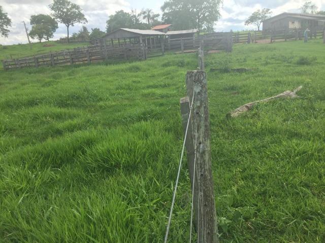 Fazenda c/ 912he, 550he formados, Terra boa, Itiquira-MT - Foto 6