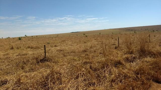 Fazenda c/ 7.180he c/ 80% formado, dupla aptidão, Ouro Branco-MT - Foto 16
