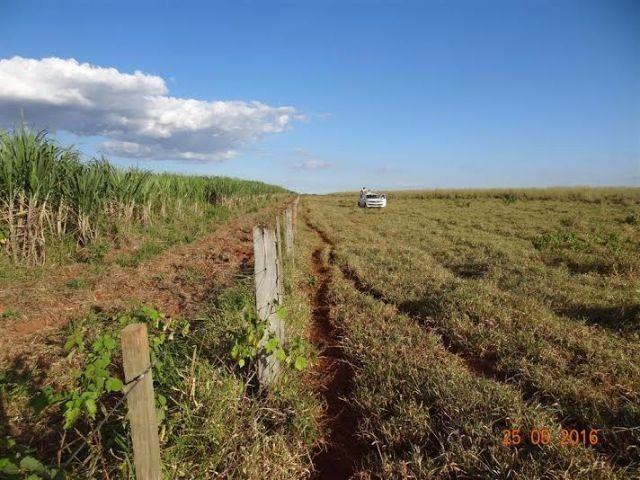 Fazenda c/ 1.700he c/ 80% formados, dupla aptidão, Itiquira-MT, pego 50% em imóvel no PR - Foto 14