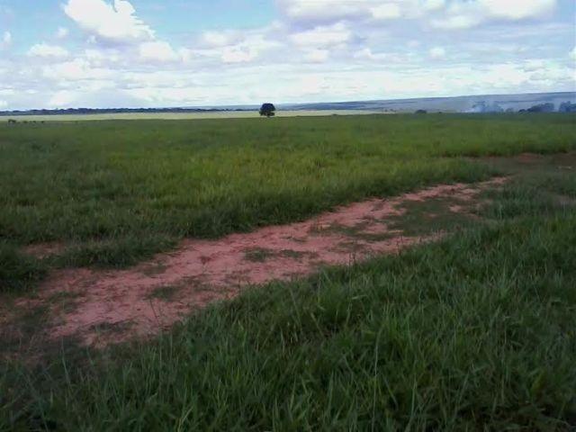 Fazenda c/ 1.350he c/ 80% formado, planta em 600he, Itiquira-MT, pego imóvel no PR - Foto 6