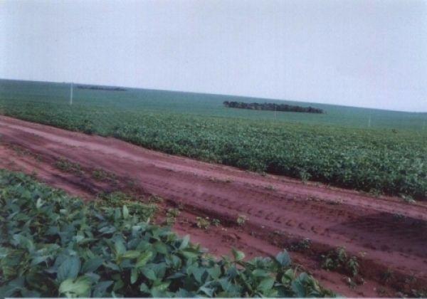 Fazenda c/ 7.180he c/ 80% formado, dupla aptidão, Ouro Branco-MT - Foto 8