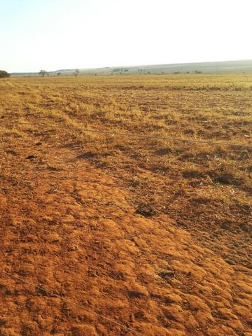 Fazenda c/ 830he, C/ 700he aberto, faz lavoura em 650he, Itiquira-MT - Foto 15