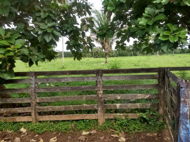 Fazenda com 200he, c/ 50% formado, terra de cultura, 40km de Cuiabá-MT - Foto 12