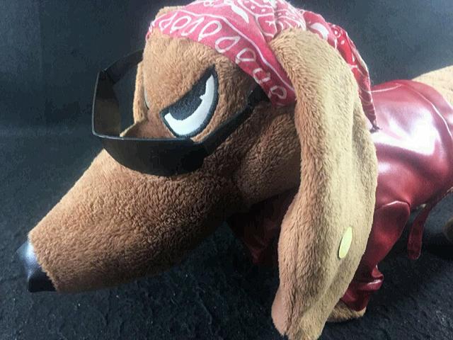 Cachorro "Badboy" Que Canta e Dança - Foto 3