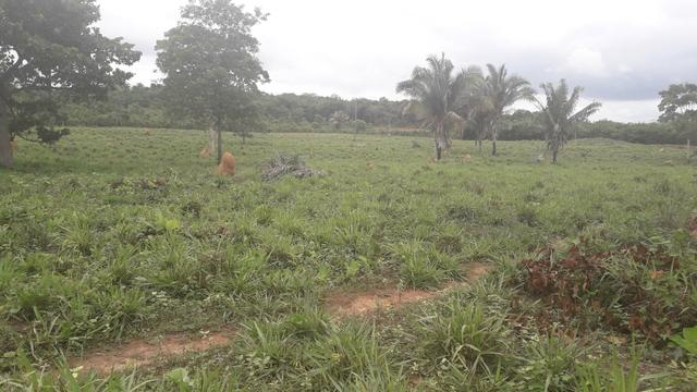 Vende se uma terra - Foto 4