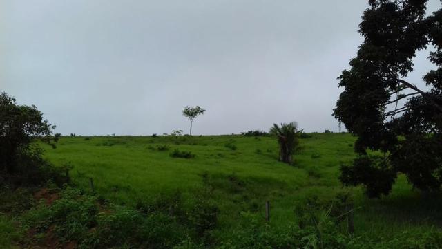 Fazenda em Porto Acre- AC