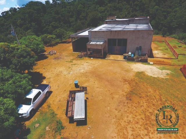Oportunidade Fazenda Pecuária Próximo de Palmas - Foto 4
