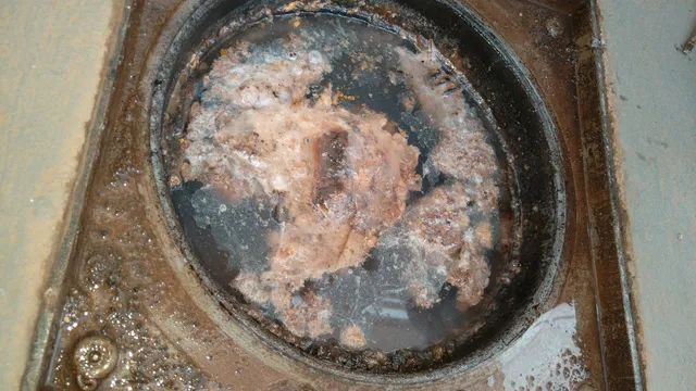 Urgente Desentupidora/ Desentupidor ?/ Palmas  - Foto 5