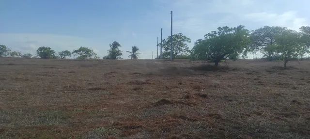 Lotes em Sucatinga - Beberibe  - Foto 2