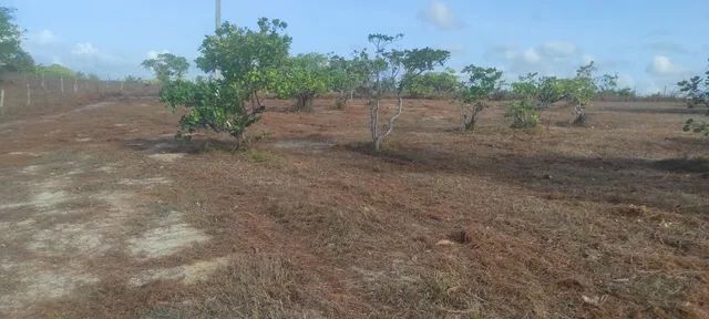 Lotes em Sucatinga - Beberibe 