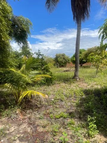 Terreno em jacumã 25x40  - Foto 5