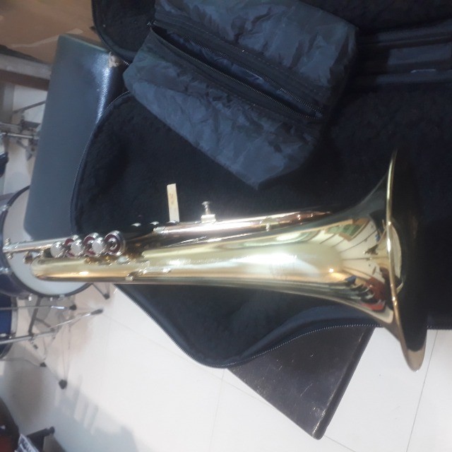 FluguelHorn Sib Michael novo