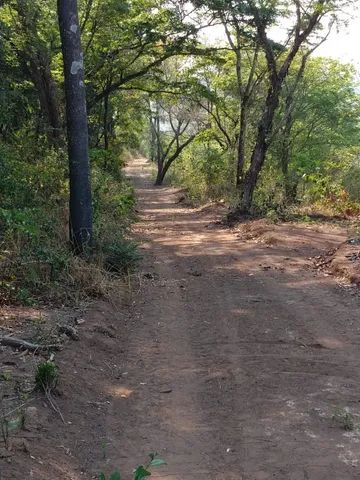 Fazenda em Pará de Minas florestal. - Foto 2