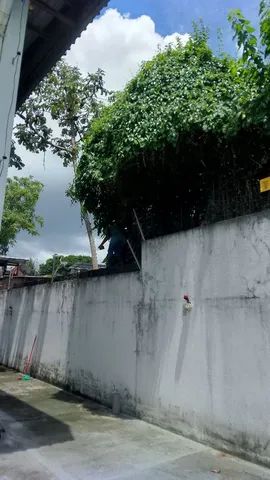 Cerca elétrica instalação e manutenção 