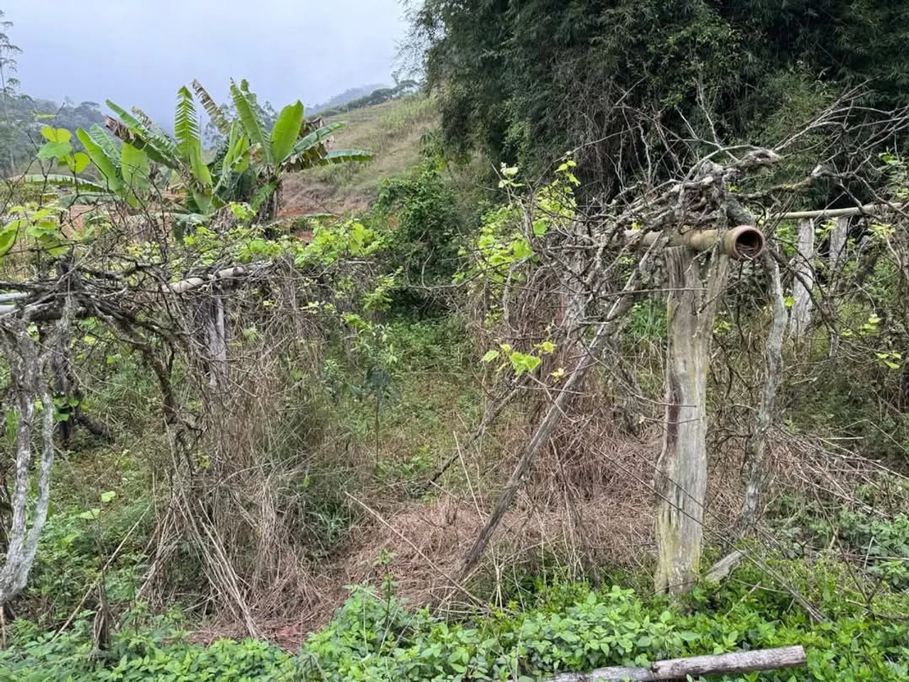 Excelente terreno 4 alqueires em São Bento de URÂNIA, Alfredo Chaves ES..