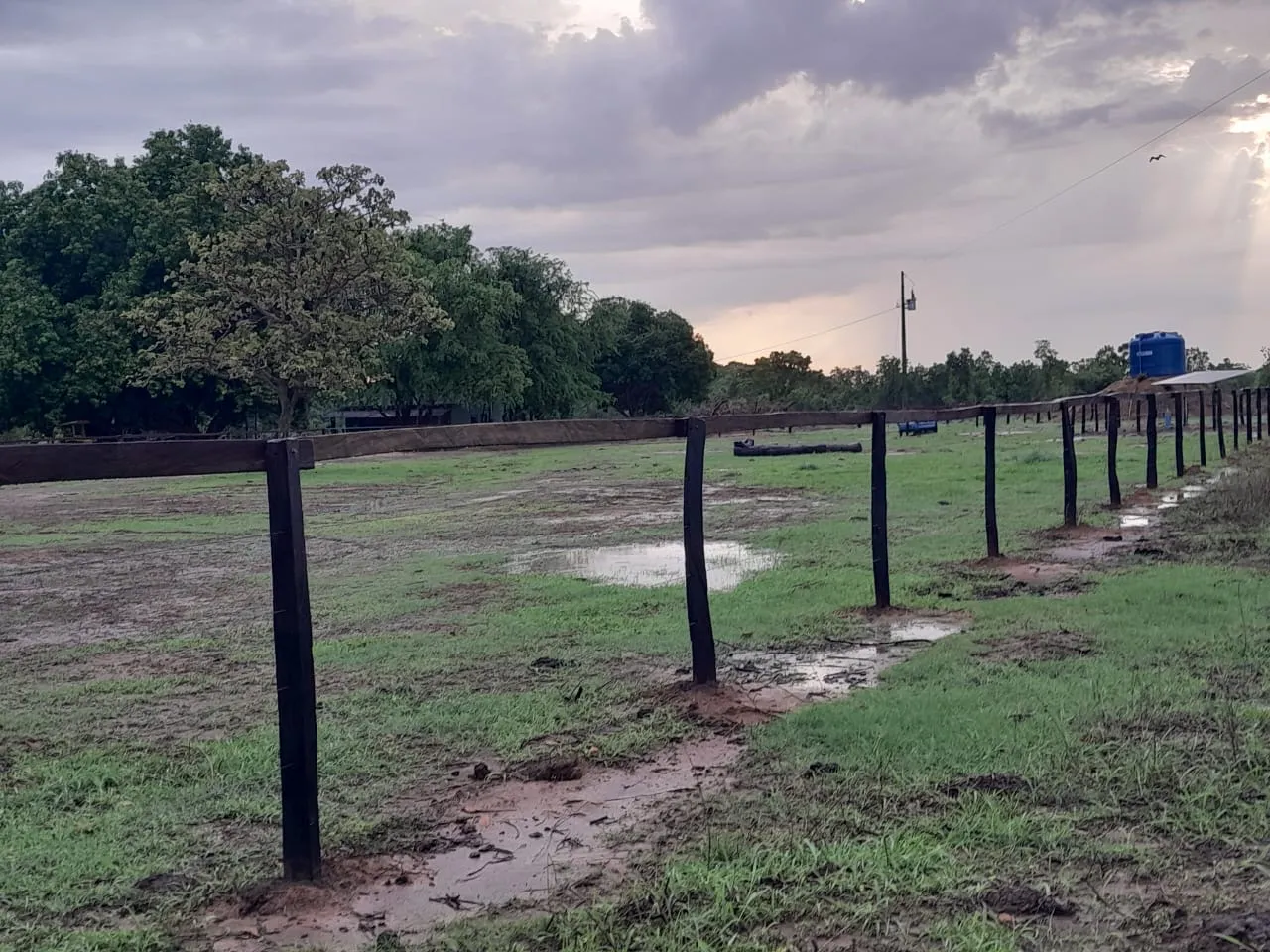 Fazenda 84 alqueires