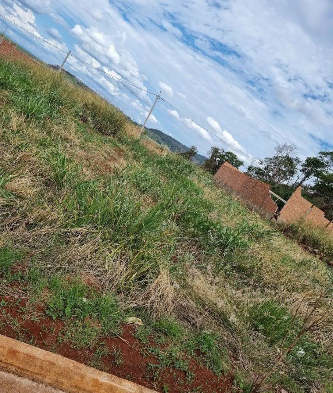 Foto - Ribeirão Preto - Jardim José Sampaio Júnior