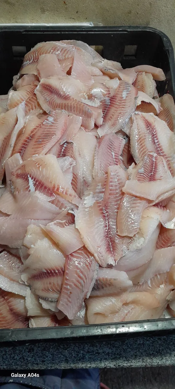 Filés de peixe frescos