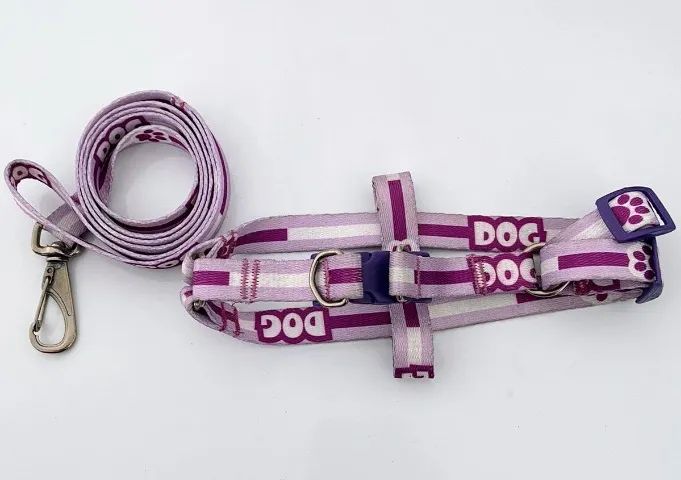 Coleira Peitoral com Guia  - Foto 3