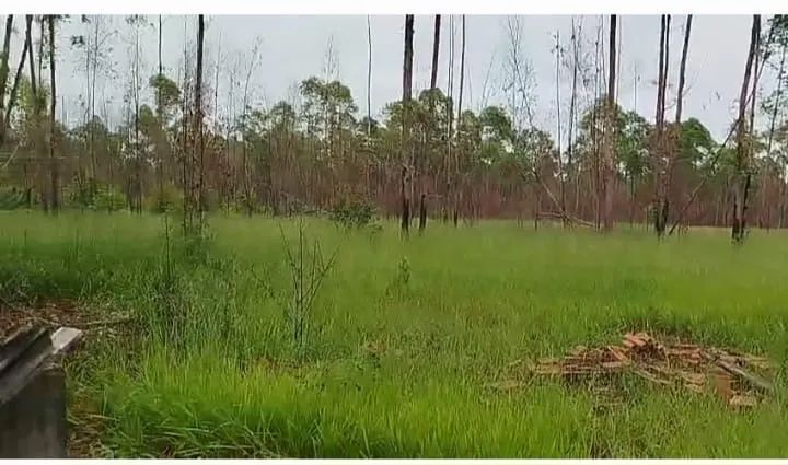 SITIO EM /CAMPO ALTOS - Foto 4