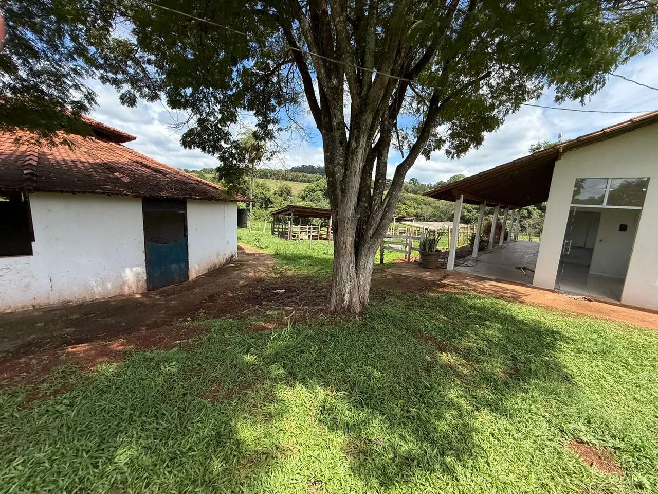 Terreno módulo rural com duas casas e curral  - Foto 5