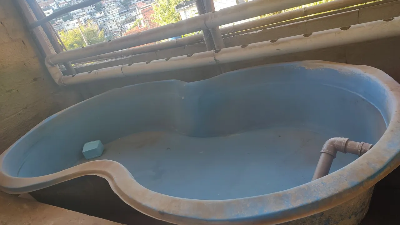 Piscina Infantil Divertida