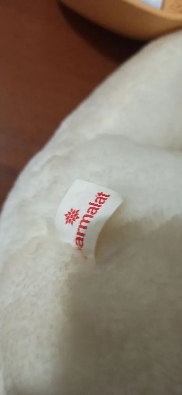 Bichinho de Pelúcia Parmalat - $20 cada - No estado - Foto 5