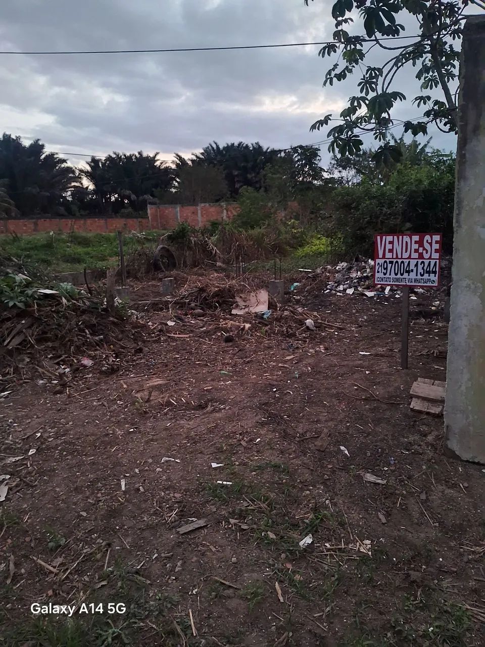 Foto - Rio de Janeiro - Santa Cruz