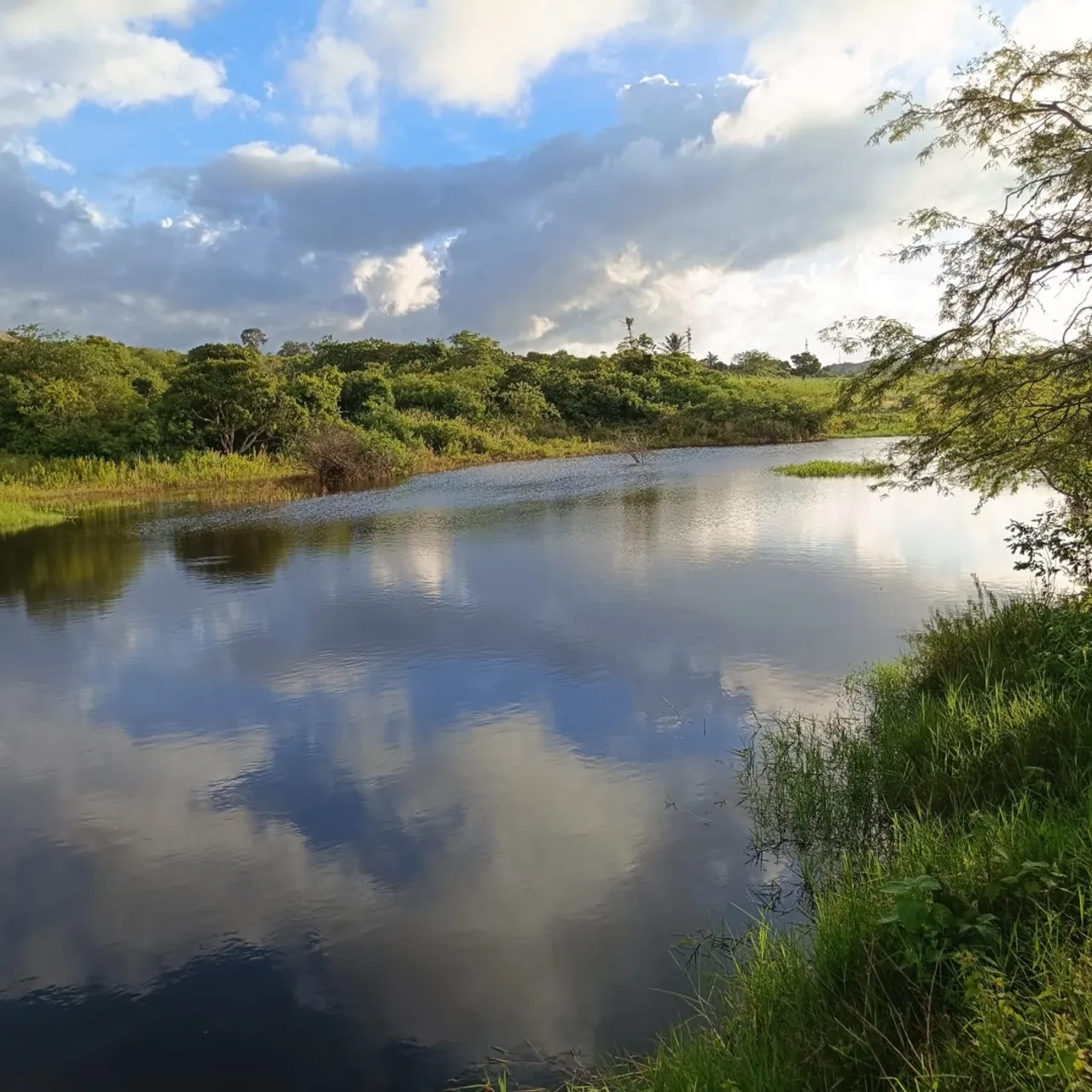 Sítio em Puxinanã com piscina e barragem!