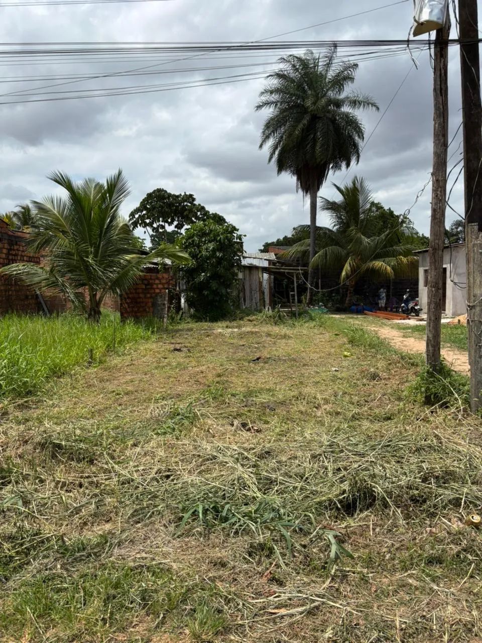 Foto - Ananindeua - Levilândia