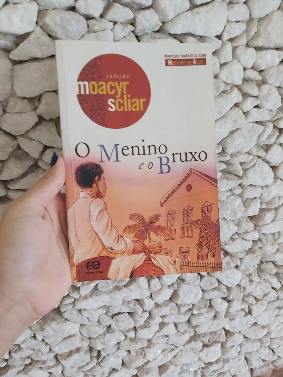 O Menino Ruxo e o Bruxo - Moacyr Scliar