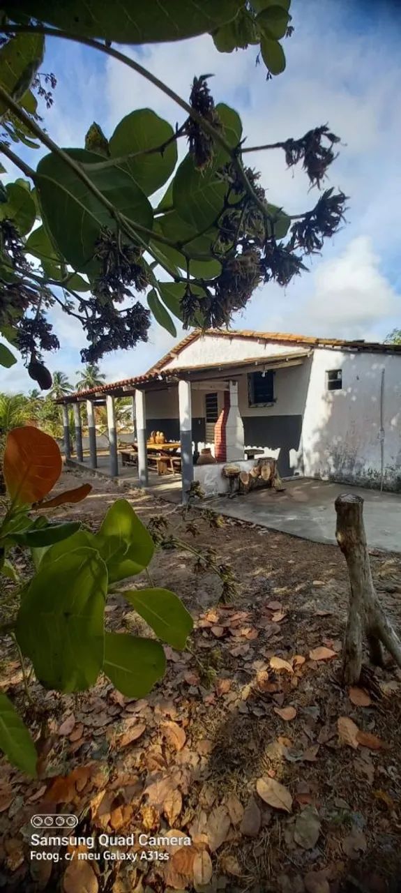 Vende-se Sítio - Foto 5