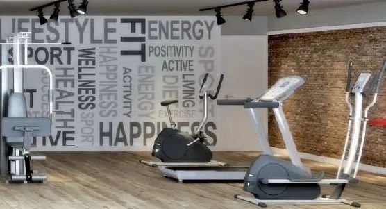 Origens Santana - Foto 3