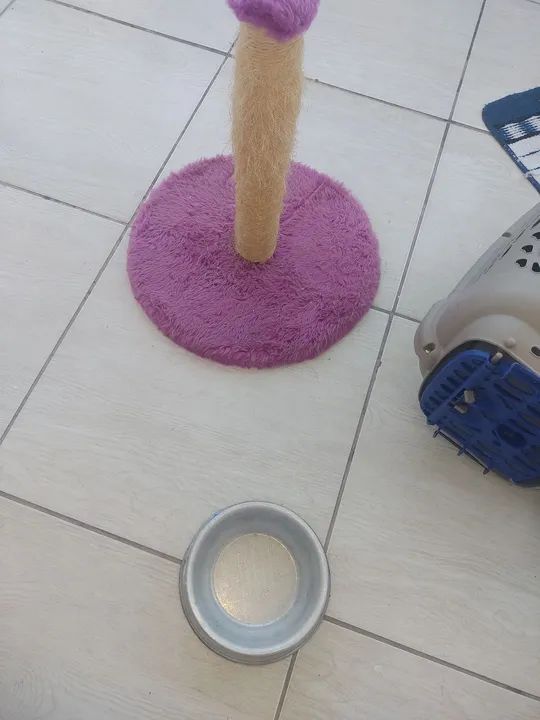 Caixa transportadora para Pets - Foto 3