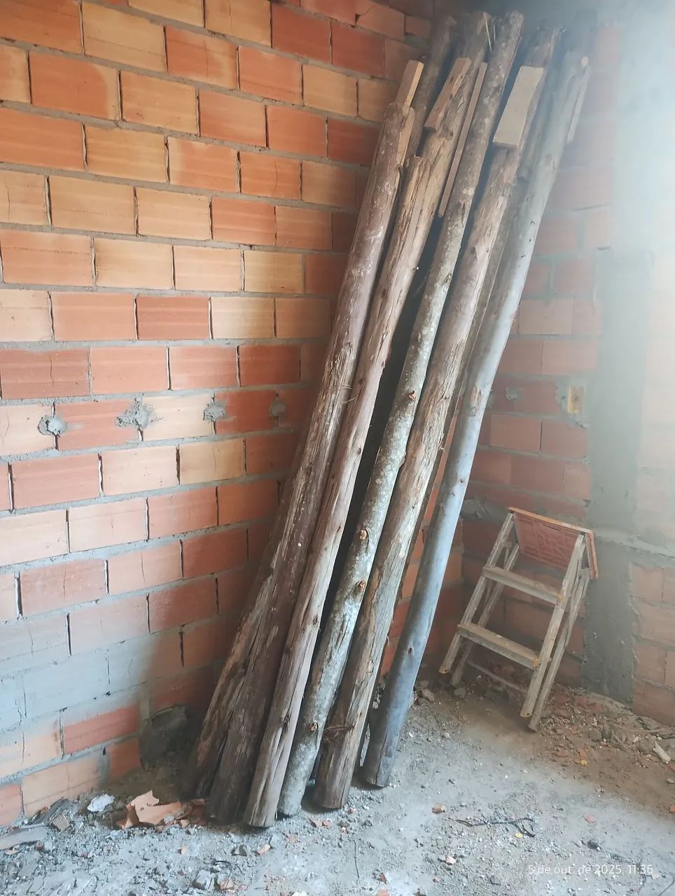 Eucalyptus Stakes64840812063745120