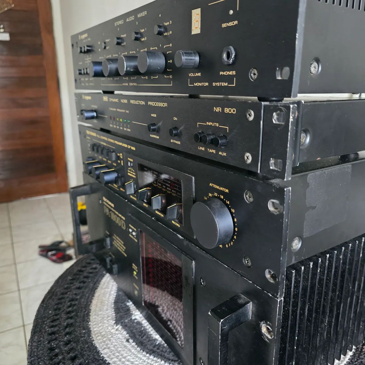 Cygnus modulado - Foto 3