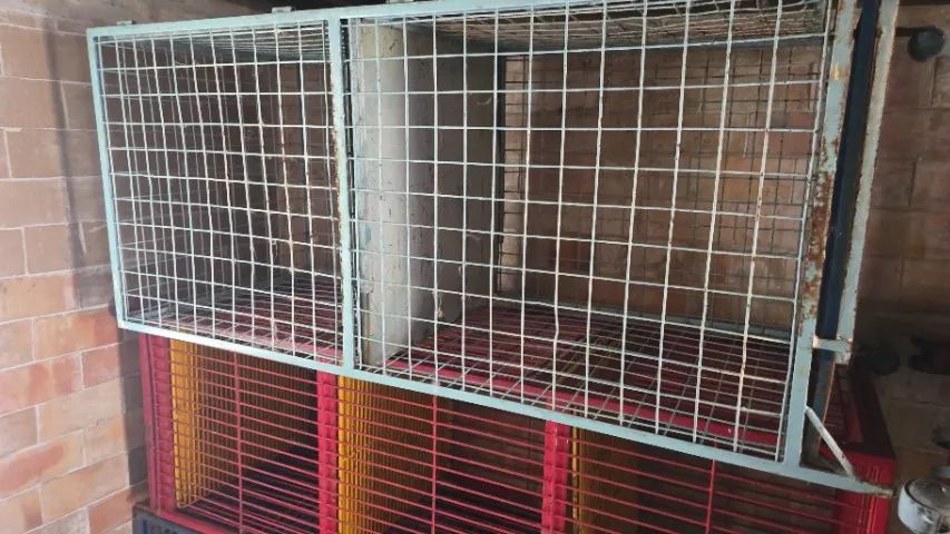 Vendo gaiolas para pet